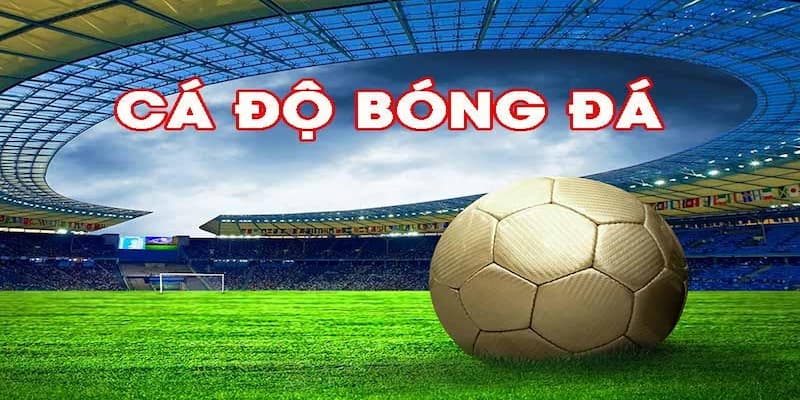 Soi kèo bóng đá Luôn cập nhật thông tin mới nhất