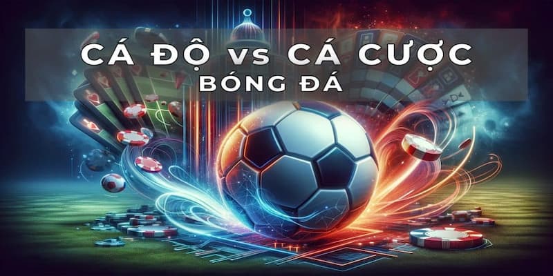 Kết quả bóng đá Tại sao kết quả bóng đá ảnh hưởng ?