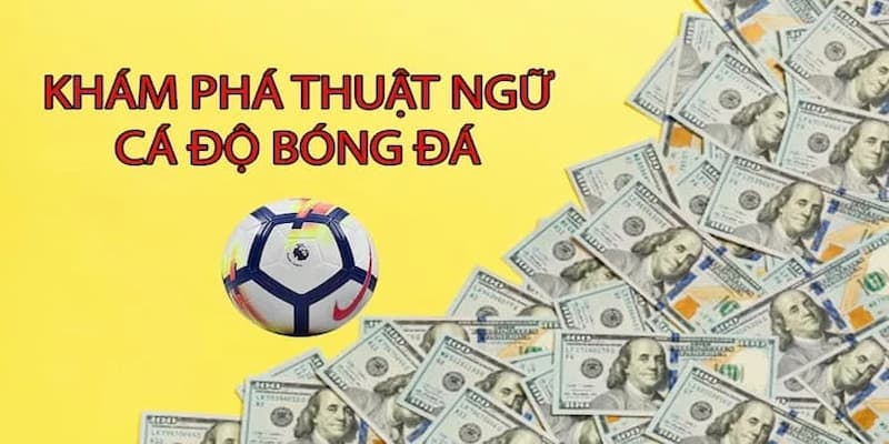 Soi kèo bóng đá Tầm quan trọng của việc soi kèo bóng đá