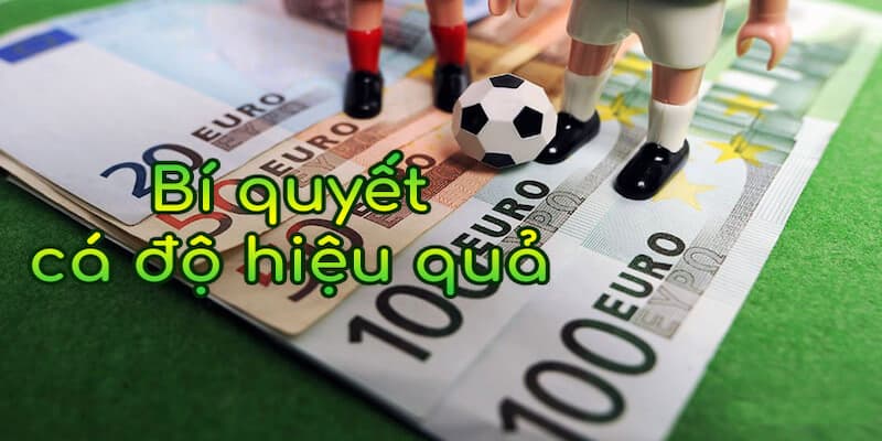 Kết quả bóng đá Ý nghĩa của việc cập nhật kết quả bóng đá