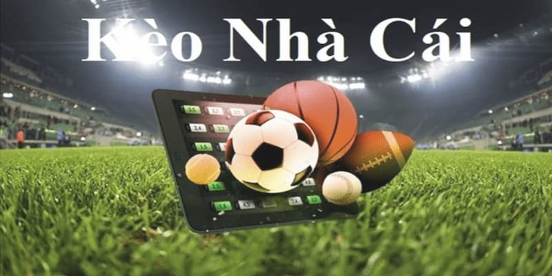 nhận định bóng đá kèo nhà cái 5 Kỹ thuật ứng dụng tỷ lệ cá cược trong nhận định bóng đá