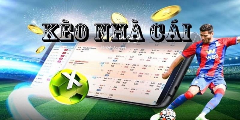 nhận định bóng đá kèo nhà cái 5 Những điểm cần lưu ý khi phân tích nhận định bóng đá kèo nhà cái 5