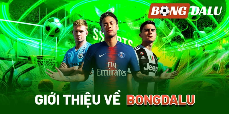 tỷ lệ cá cược bóng đá lu Phân loại và đặc điểm của các tỷ lệ cá cược bóng đá lu phổ biến