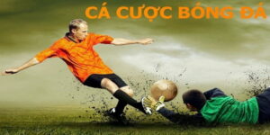 Tại sao tỷ lệ cá cược bóng đá 88 lại thu hút nhiều người chơi?