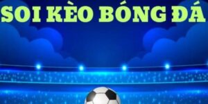 Vai trò quan trọng của soi kèo bóng đá trực tiếp trong tỷ lệ cá cược