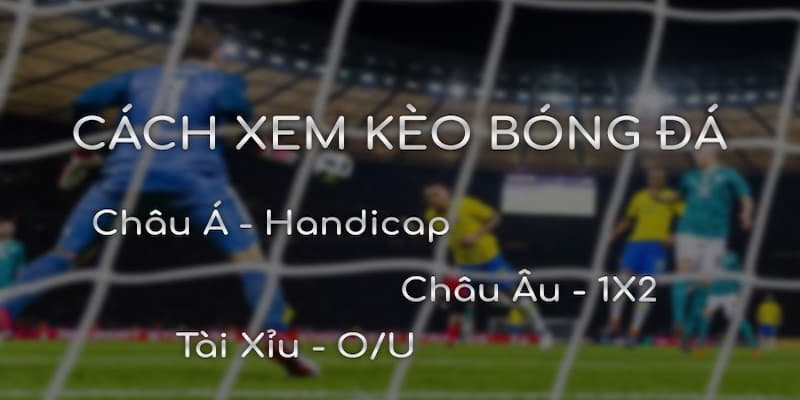 Kèo nhà cái hôm nay Các loại kèo cần biết khi xem kèo nhà cái