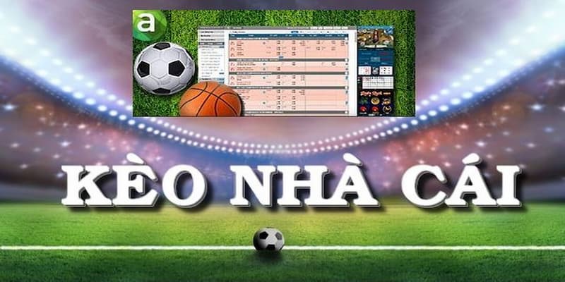 Tỷ lệ kèo hôm nay Các loại kèo phổ biến trong bóng đá