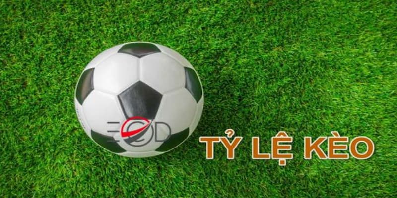 Cách đọc tỷ lệ kèo Khái niệm tỷ lệ kèo và tầm quan trọng
