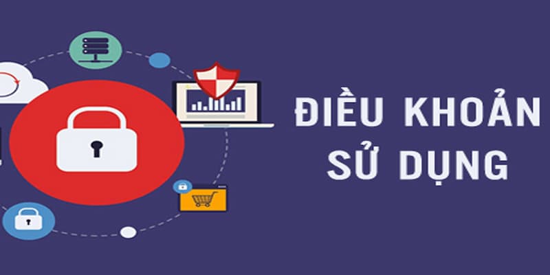Điều kiện điều khoản Quy trình đăng ký và xác thực tài khoản
