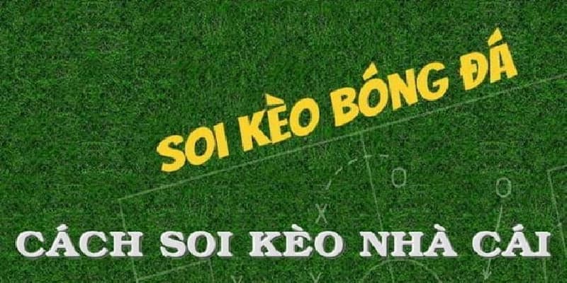 Cách đọc tỷ lệ kèo Sai lầm khi đọc tỷ lệ kèo cần tránh