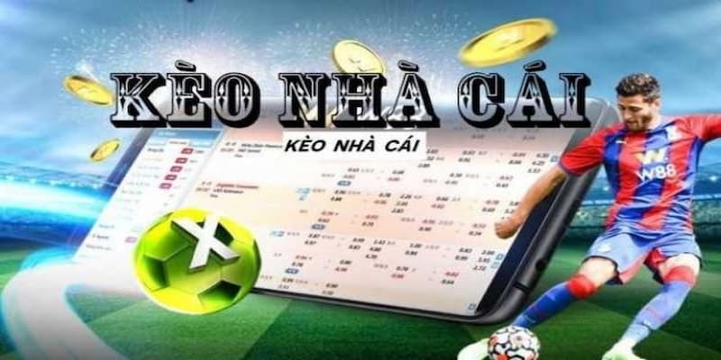 Tỷ lệ kèo trực tiếp Tầm quan trọng của tỷ lệ kèo trực tiếp