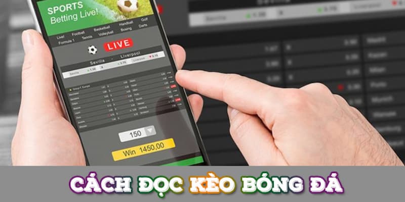 Cách đọc tỷ lệ kèo Tổng quan về cách đọc tỷ lệ kèo