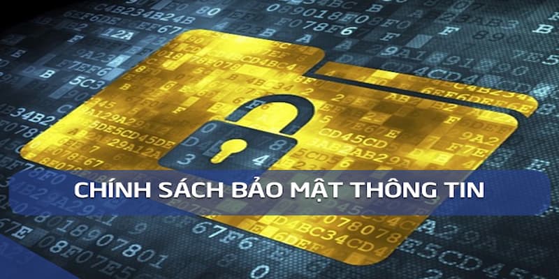 Chính sách bảo mật Trách nhiệm của người chơi